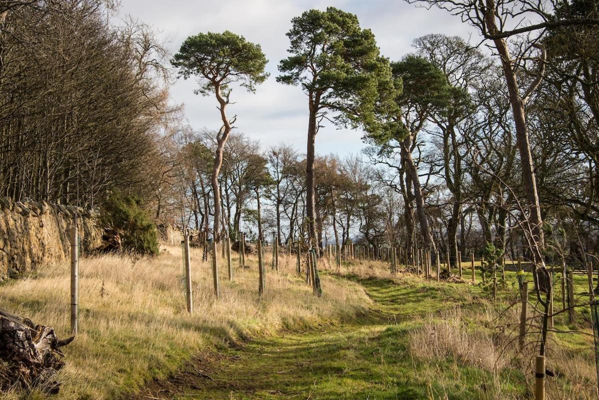 Stunning Stables Cottage In East Lothian Country Estate North Berwick Εξωτερικό φωτογραφία